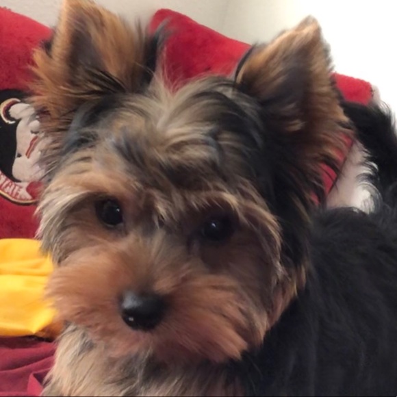 Meet your Posher, Vicki - Picture 2 of 5